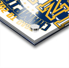 Indiana Pacers 21 Acrylic print