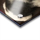 C3A4109B F8D3 49CD 88C1 62E24BAC92EA Acrylic print