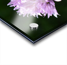 2BC7E26E 33D0 4A16 85B3 9CBF018D417E Acrylic print