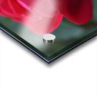 22EA81AB 4C66 4EBB B39D BE8151FCD829 Acrylic print