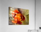 F1EB6ED2 52EF 4782 8D56 26D2EF49E96A Acrylic Print