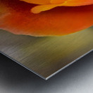 F1EB6ED2 52EF 4782 8D56 26D2EF49E96A Metal print