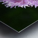 2BC7E26E 33D0 4A16 85B3 9CBF018D417E Metal print