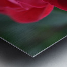 22EA81AB 4C66 4EBB B39D BE8151FCD829 Metal print