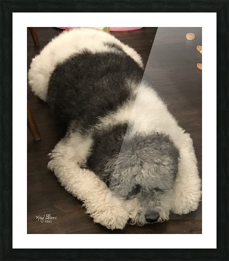 C3A4109B F8D3 49CD 88C1 62E24BAC92EA Picture Frame print