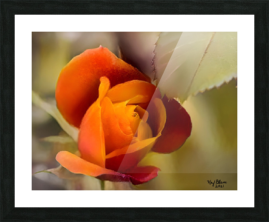 F1EB6ED2 52EF 4782 8D56 26D2EF49E96A Picture Frame print