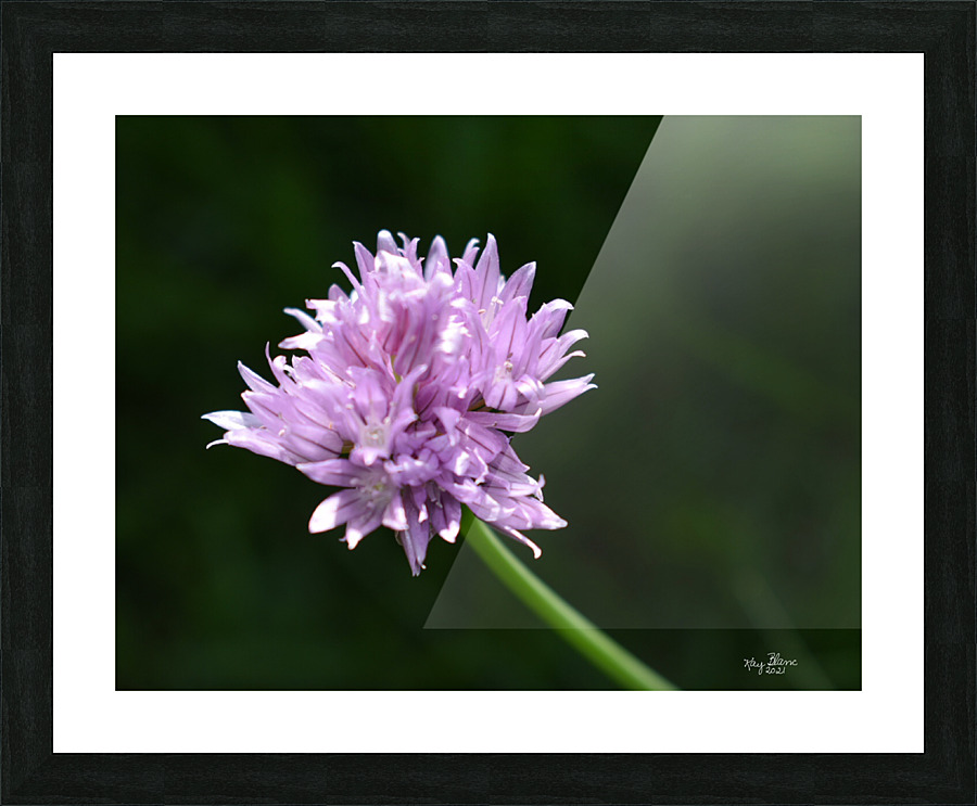 2BC7E26E 33D0 4A16 85B3 9CBF018D417E Picture Frame print