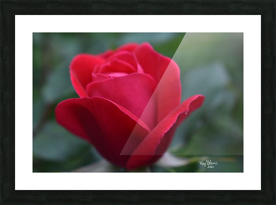 22EA81AB 4C66 4EBB B39D BE8151FCD829 Picture Frame print