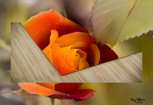 F1EB6ED2 52EF 4782 8D56 26D2EF49E96A Carlotta Kay Blanc puzzle