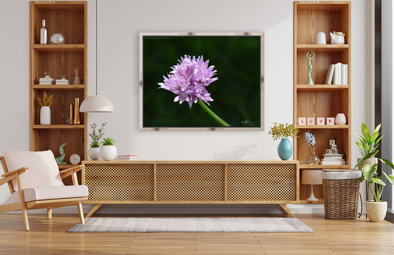 2BC7E26E 33D0 4A16 85B3 9CBF018D417E Reproduction