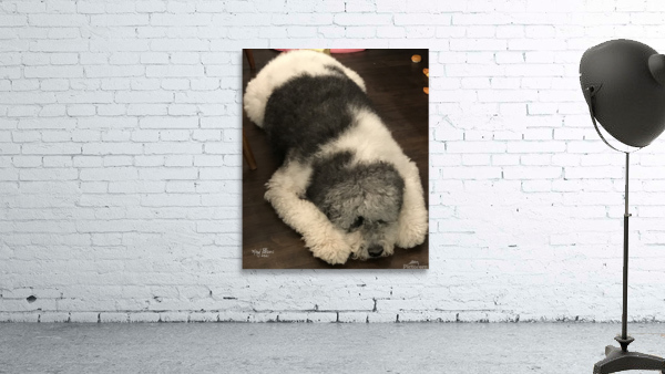 C3A4109B F8D3 49CD 88C1 62E24BAC92EA Wall Preview