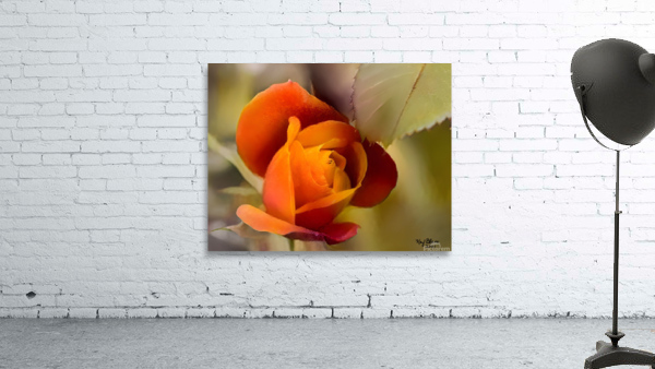 F1EB6ED2 52EF 4782 8D56 26D2EF49E96A Wall Preview