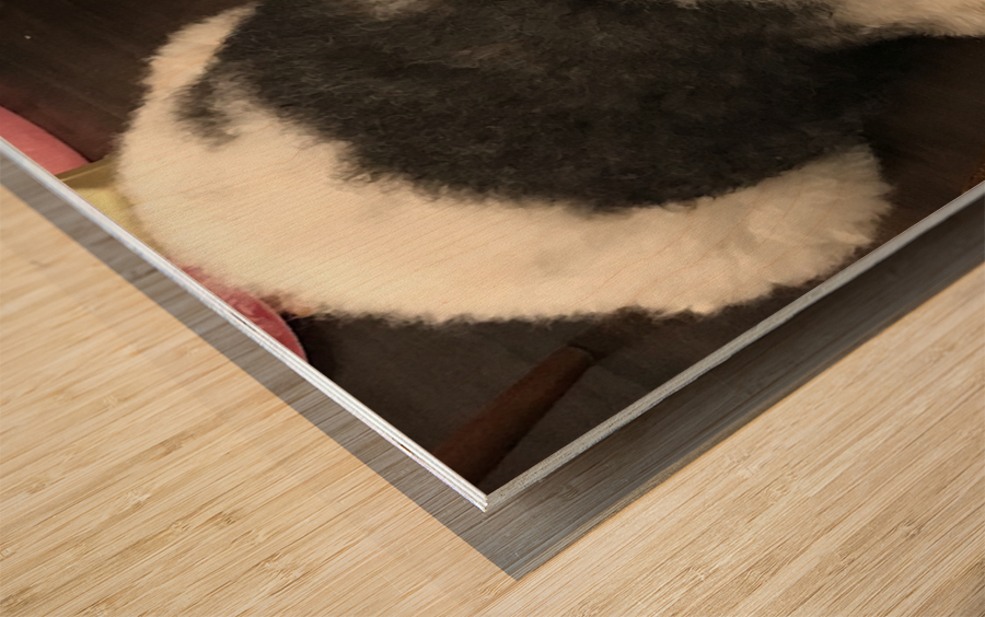 C3A4109B F8D3 49CD 88C1 62E24BAC92EA Wood print