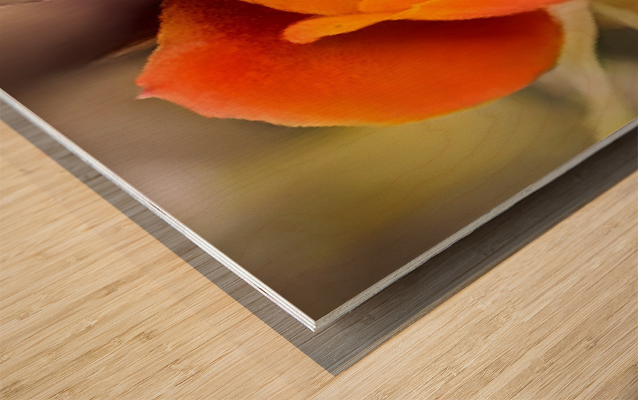 F1EB6ED2 52EF 4782 8D56 26D2EF49E96A Wood print