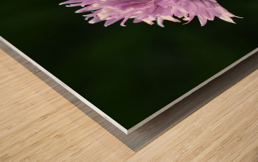 2BC7E26E 33D0 4A16 85B3 9CBF018D417E Wood print