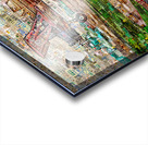 HARLEY  AND PLANE Acrylic print