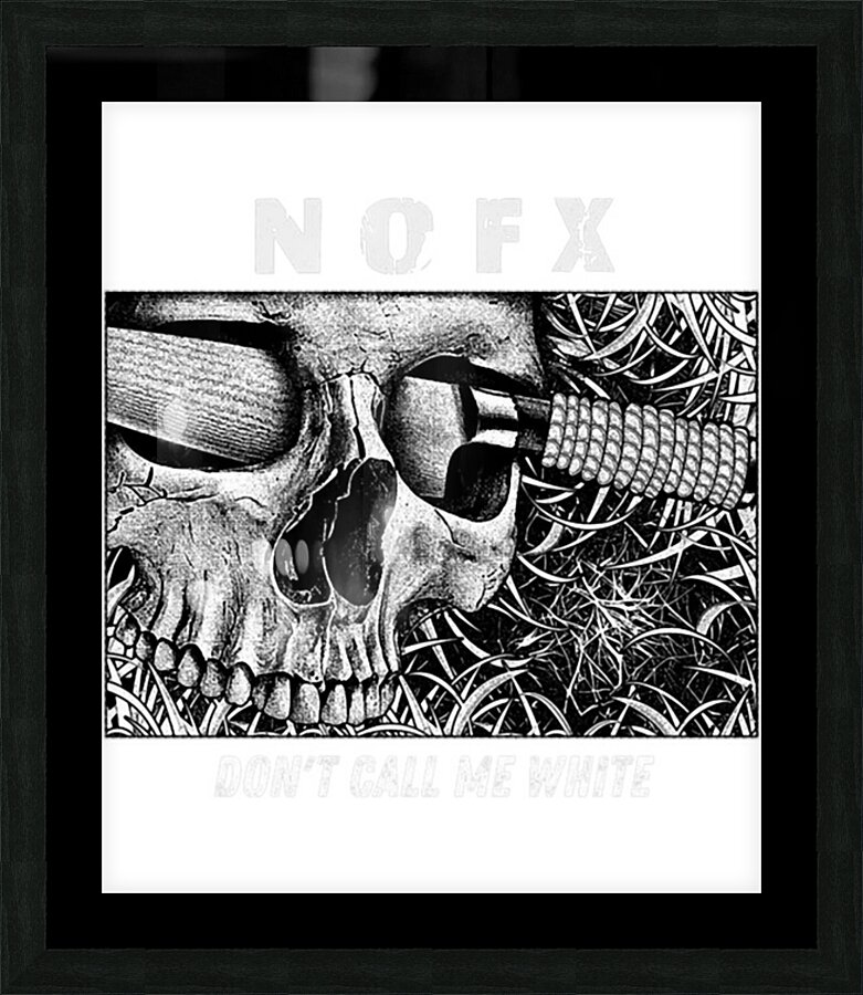 NOFX 3 Picture Frame print
