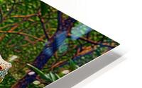 Mangrove Colossus HD Metal print