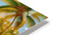 Organic Dwelling HD Metal print