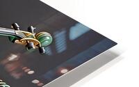 Jade Nocturne HD Metal print