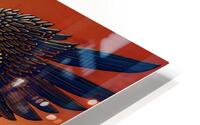 Kage Yorishiro HD Metal print