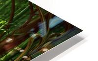 Bamboo Flow HD Metal print