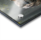 Realistic Wildlife Encounter Photography Acrylic print