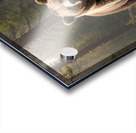 Hyper-realistic Bear Encounter Photography Acrylic print