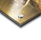 Photorealistic Fox Environment Acrylic print