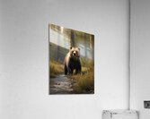 Hyper-realistic Bear Encounter Photography Acrylic Print