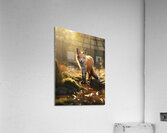Photorealistic Fox Environment Acrylic Print