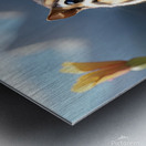 Chipmunk Encounter with a Butterfly Environment Metal print