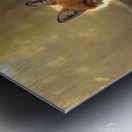 Photorealistic Fox Environment Metal print