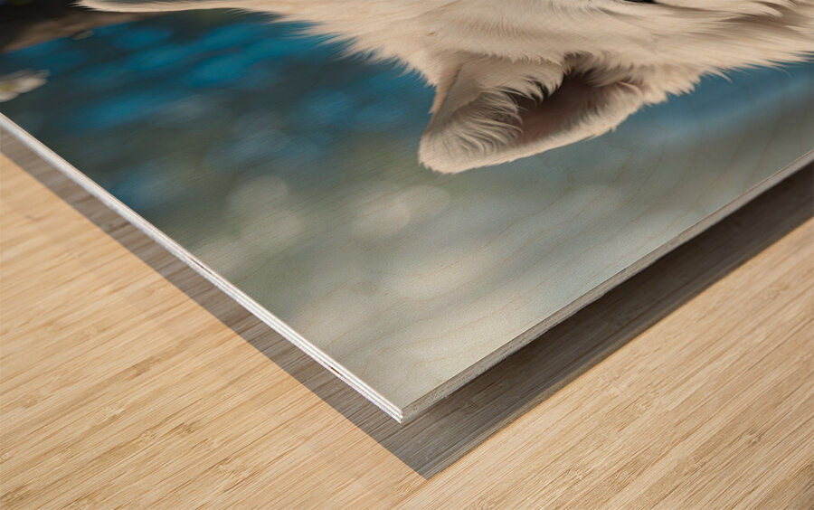 Realistic Wildlife Encounter Photography Wood print