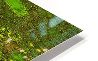 Puddles_In_Spring HD Metal print