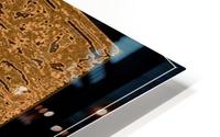 Uncharted_Books HD Metal print