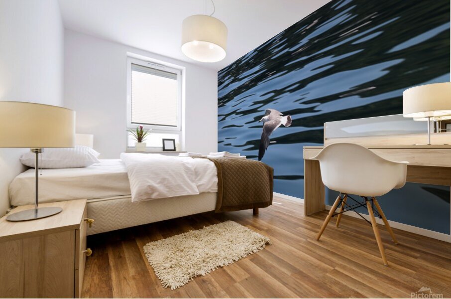 Low flying seagull Mural print