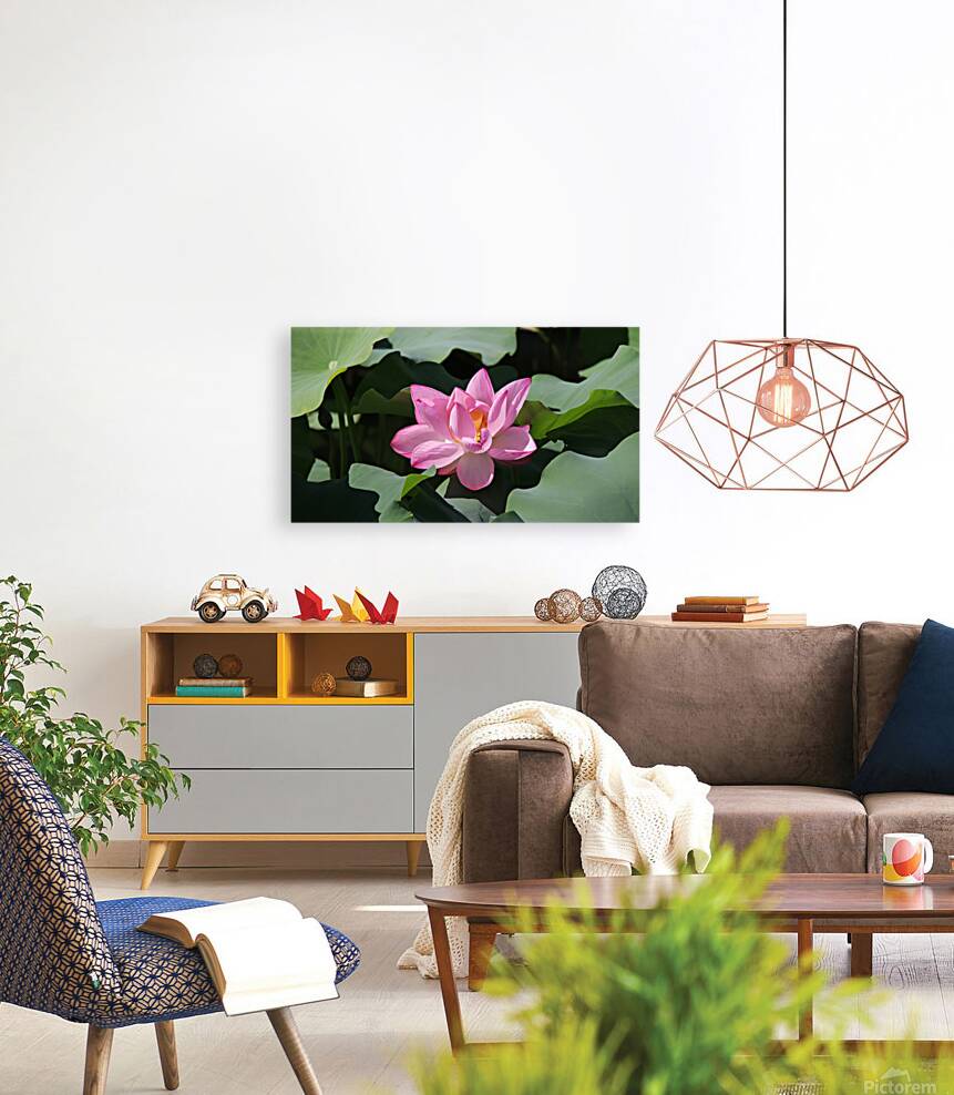 One Lotus Reproduction