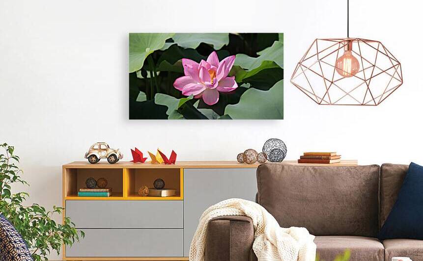 One Lotus by Jay Ying