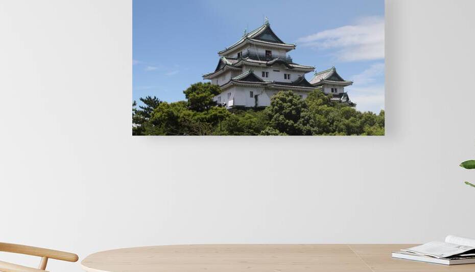 Wakayama castle by Jay Ying