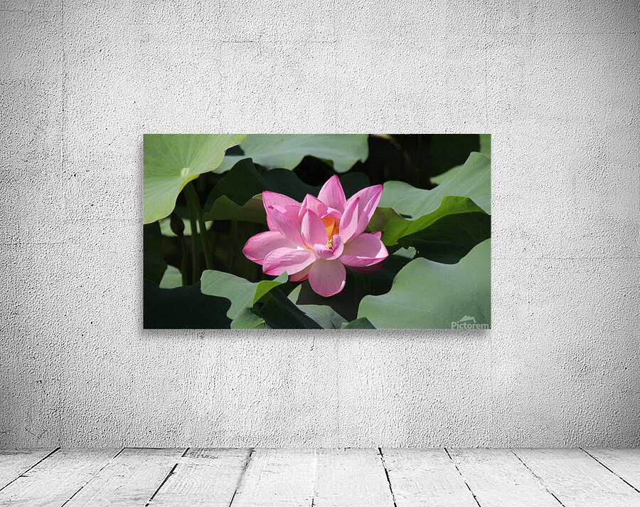 One Lotus Wall Preview