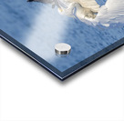 ..Set..Go! Acrylic print