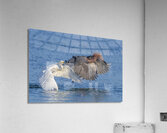 ..Set..Go! Acrylic Print