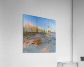 Golden Grass Blue Sky Acrylic Print