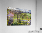 Vineyard View Acrylic Print