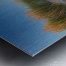 Golden Grass Blue Sky Metal print