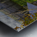 Vineyard View Metal print