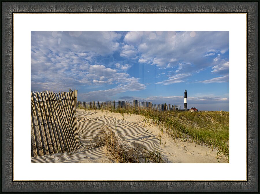Protecting the Dunes Picture Frame print
