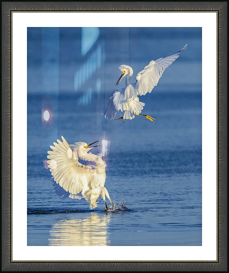 Heee Yaaah!!! Picture Frame print