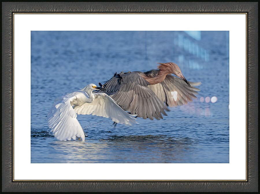 ..Set..Go! Picture Frame print